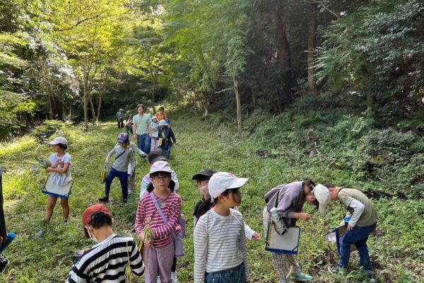 恒例となっている城山でのフィールドワーク