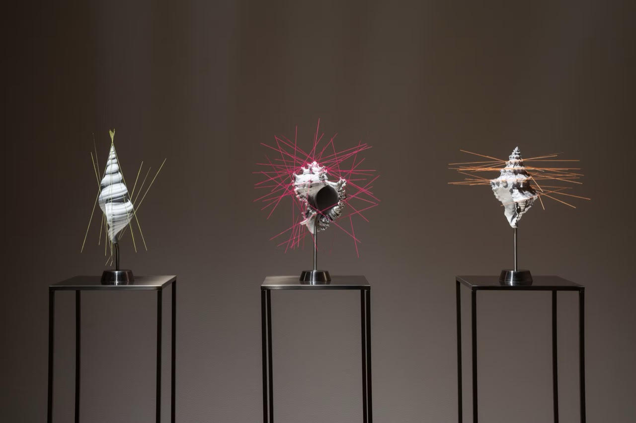 藤田クレアさんの作品、「Interrelations ~version 1 : (1 + √5)/2+x~」